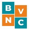 beliVNC